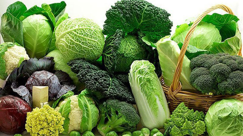 20 loại rau xanh tốt cho người bệnh loãng xương